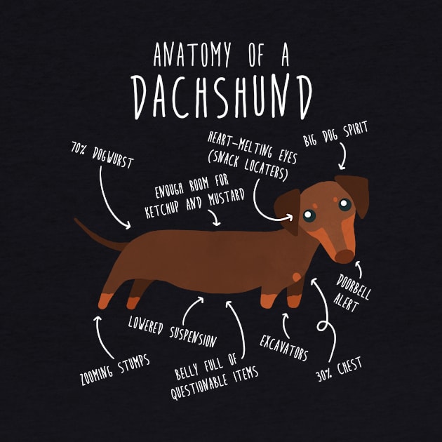 Chocolate and Tan Dachshund Dog Anatomy by Psitta